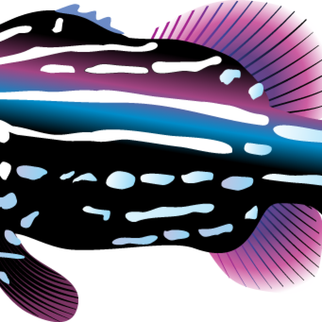 Tropical Fish Clipart Tropical Fish Clipart Clipart - Tropical Fish Clipart Tropical Fish Clipart Clipart (1024x1024)