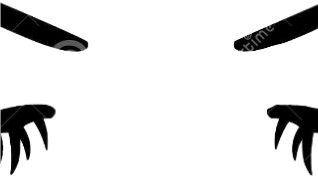 Eyelash Clipart - Eyelash Clipart (640x480)