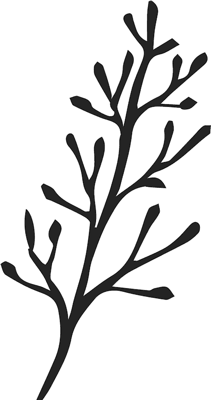 Bare Branch Sketch Rubber Stamp - Bare Branch Sketch Rubber Stamp (421x796)