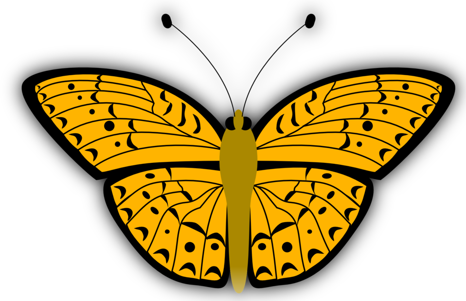 Monarch Butterfly Insect Graphic Arts Download - Monarch Butterfly Insect Graphic Arts Download (958x619)