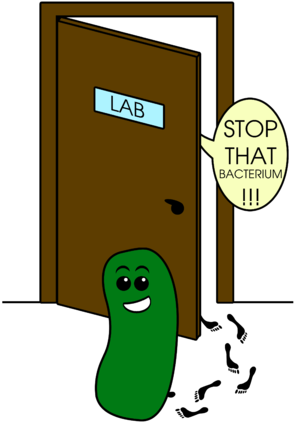 Bacteria Clipart Lab Safety - Bacteria Clipart Lab Safety (300x424)