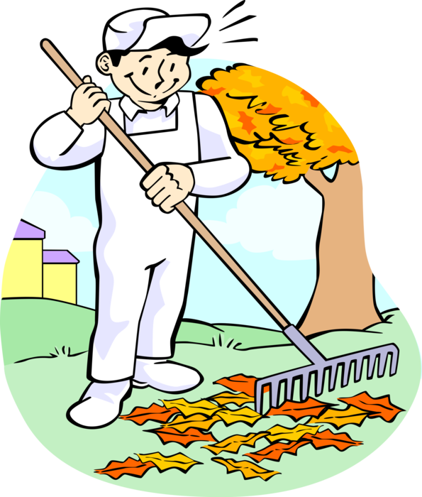 Vector Illustration Of Lawn Care Groundskeeper Raking - Vector Illustration Of Lawn Care Groundskeeper Raking (595x700)