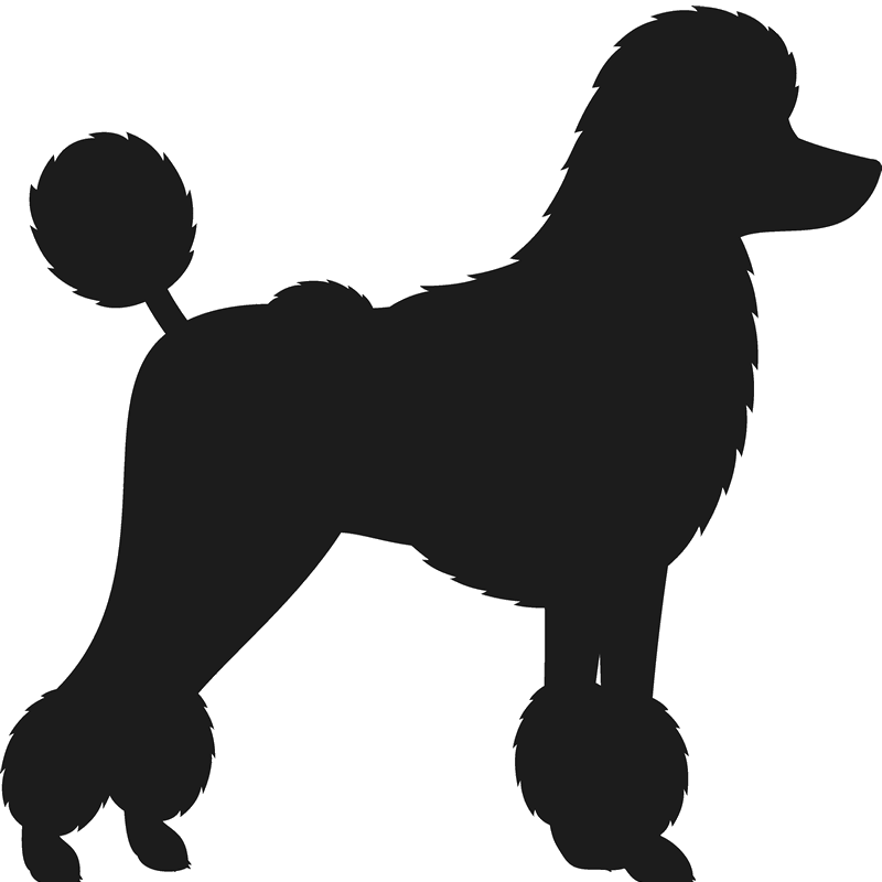Toy Poodle Silhouette At Getdrawings - Toy Poodle Silhouette At Getdrawings (800x800)
