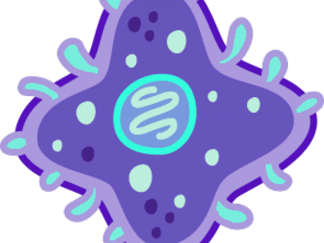 Bacteria Clipart Bacterial Cell - Bacteria Clipart Bacterial Cell (640x480)