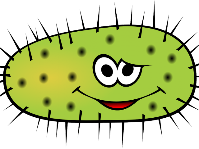 Bacteria Clipart Fungal Infection - Bacteria Clipart Fungal Infection (640x480)