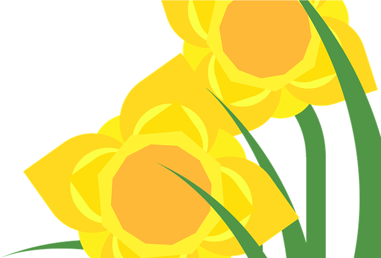 Narcissus Clipart Desktop Backgrounds - Narcissus Clipart Desktop Backgrounds (1368x855)