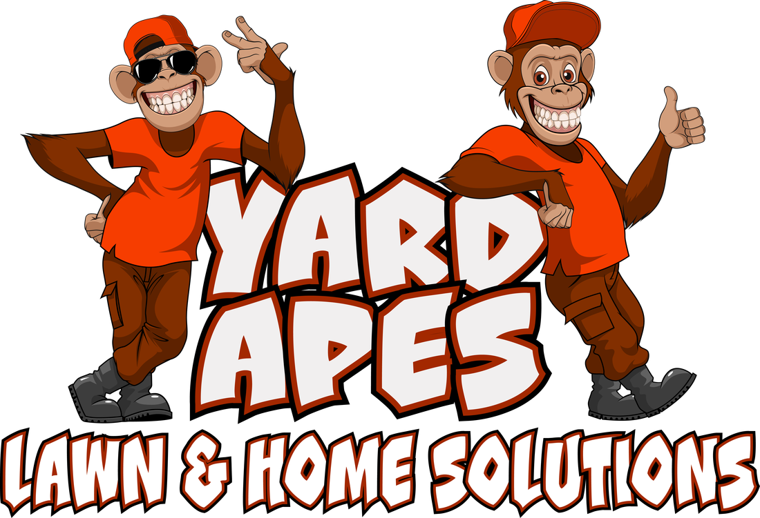 Apes Lawn Home Solutions Page Welcome To - Apes Lawn Home Solutions Page Welcome To (1100x751)