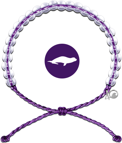 Hawaiian Monk Seal Bracelet - Hawaiian Monk Seal Bracelet (600x600)