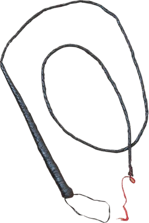 Leather Bullwhip - Leather Bullwhip (500x747)