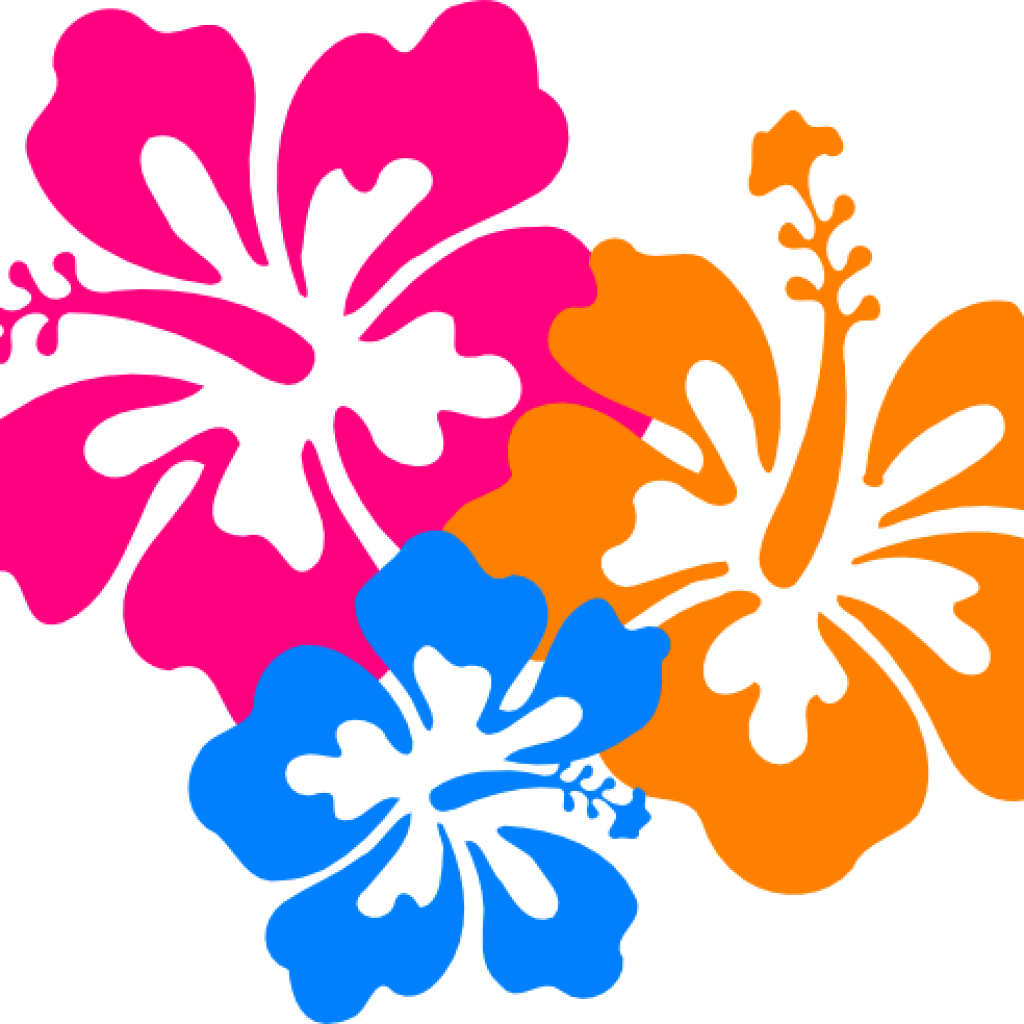 Hawaiian Border Clip Art Hawaiian Flower Clip Art Borders - Hawaiian Border Clip Art Hawaiian Flower Clip Art Borders (1024x1024)