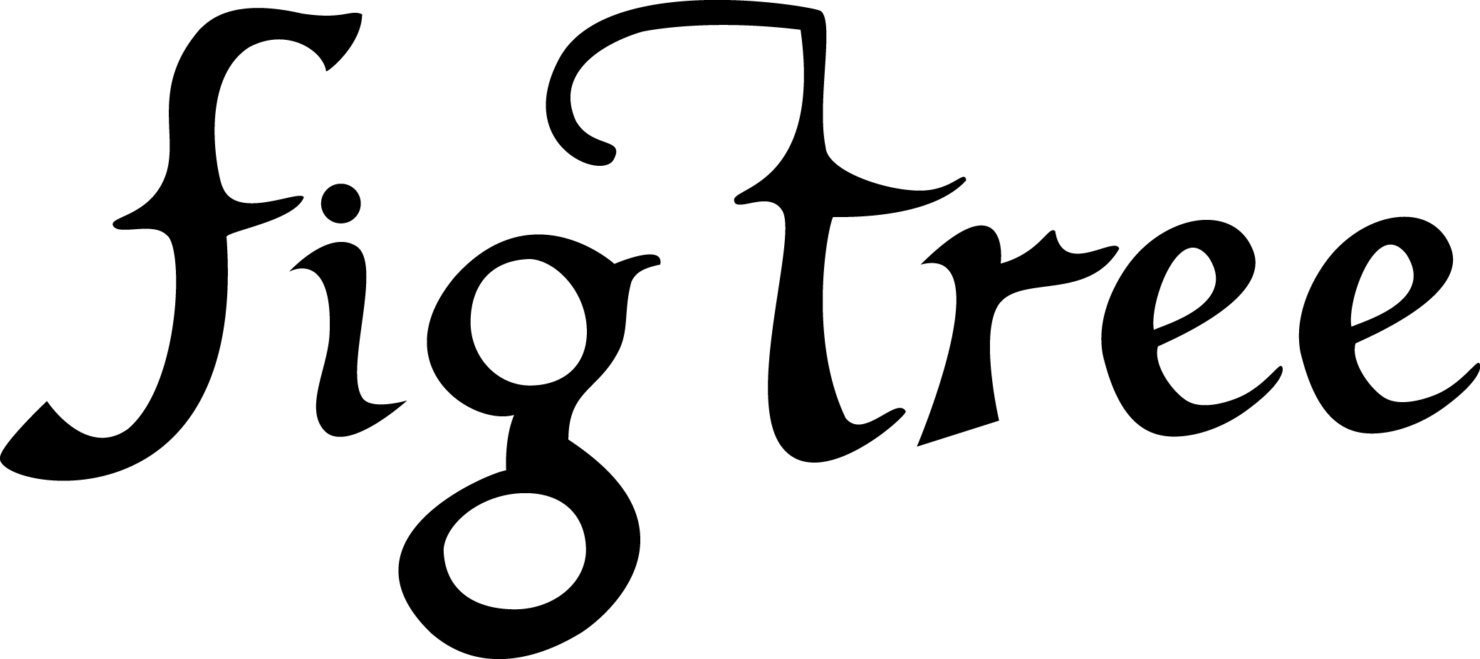 Weddings At Fig Tree Restaurant, Byron Bay - Weddings At Fig Tree Restaurant, Byron Bay (2078x926)