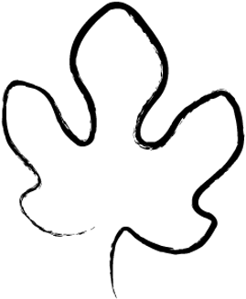 Fig Tree Ibiza - Fig Tree Ibiza (400x400)