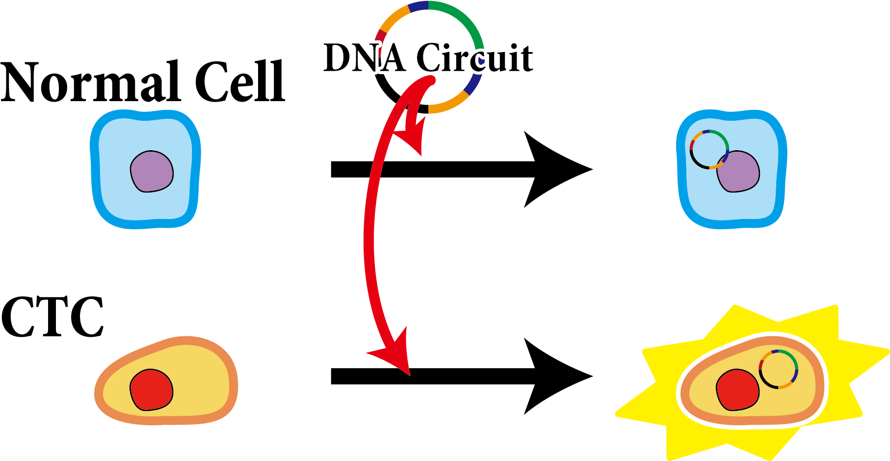 If We Introduce This Circuit Into Cells In Blood, Only - If We Introduce This Circuit Into Cells In Blood, Only (1920x1080)