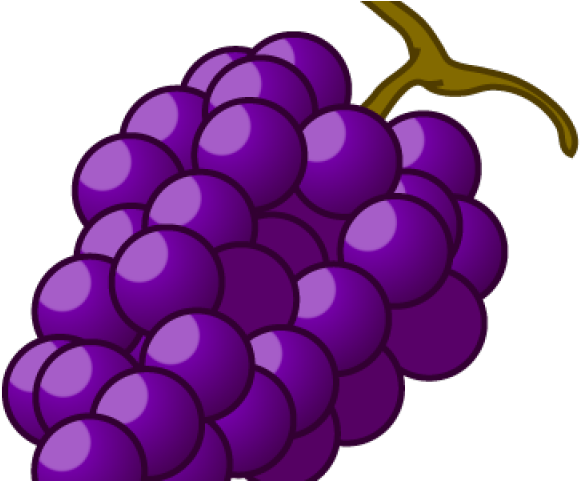 Grapes Clipart Autumn Fruit - Grapes Clipart Autumn Fruit (640x480)