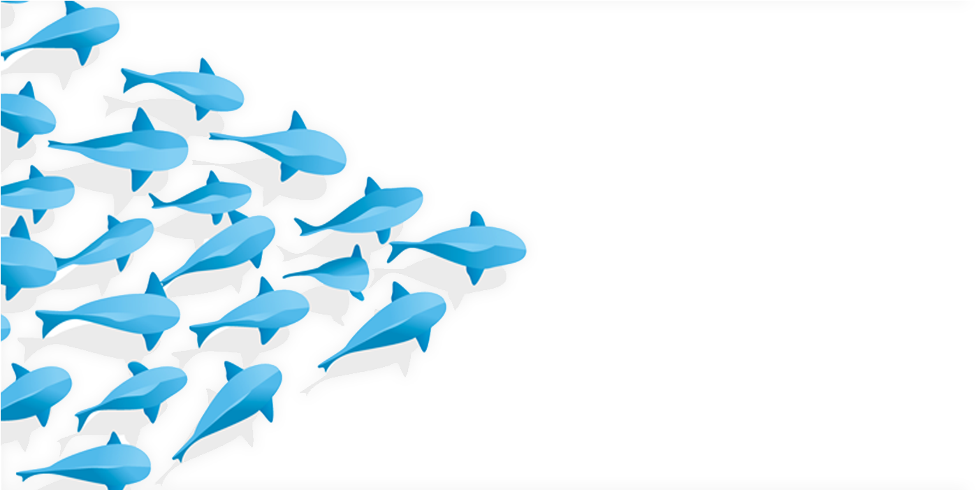 Feb - Feb (1500x700)