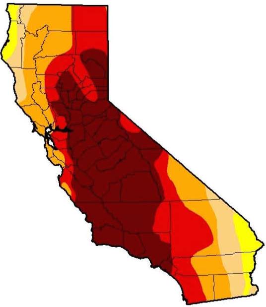 Drought Causes Lack Of Food And Drinking Water For - Drought Causes Lack Of Food And Drinking Water For (536x619)