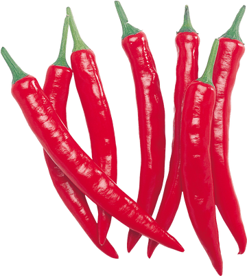 Peppers Transparent Png Images Stickpng - Peppers Transparent Png Images Stickpng (400x400)