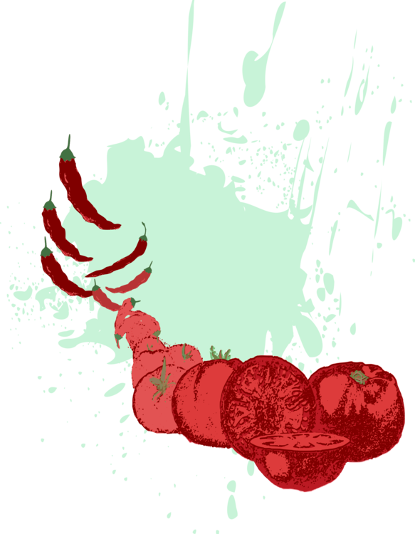 All Photo Png Clipart - All Photo Png Clipart (583x750)