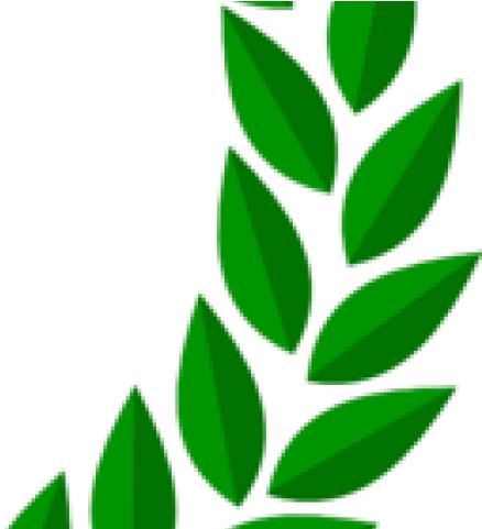 Barley Clipart Half - Barley Clipart Half (640x480)