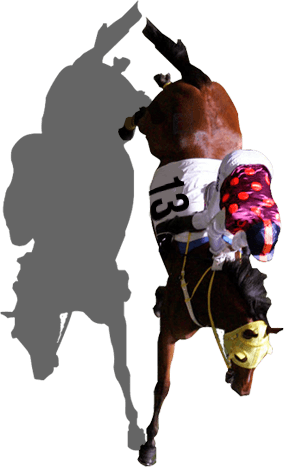 Prix De L'arc De Triomphe Horse - Prix De L'arc De Triomphe Horse (284x467)