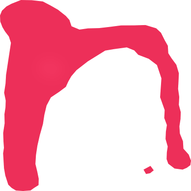 Celebrity Management - Celebrity Management (389x388)