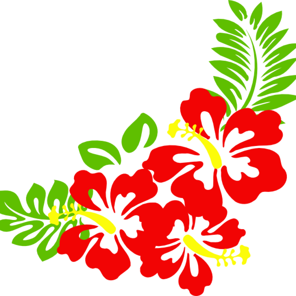 Hawaiian Border Clip Art Hawaiian Flower Clip Art Borders - Hawaiian Border Clip Art Hawaiian Flower Clip Art Borders (1024x1024)