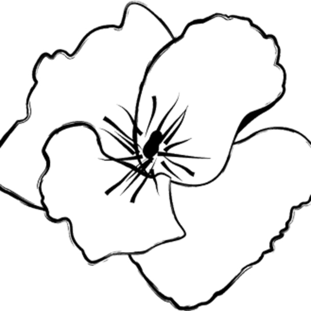 Donate To White Field Farm - Donate To White Field Farm (640x640)