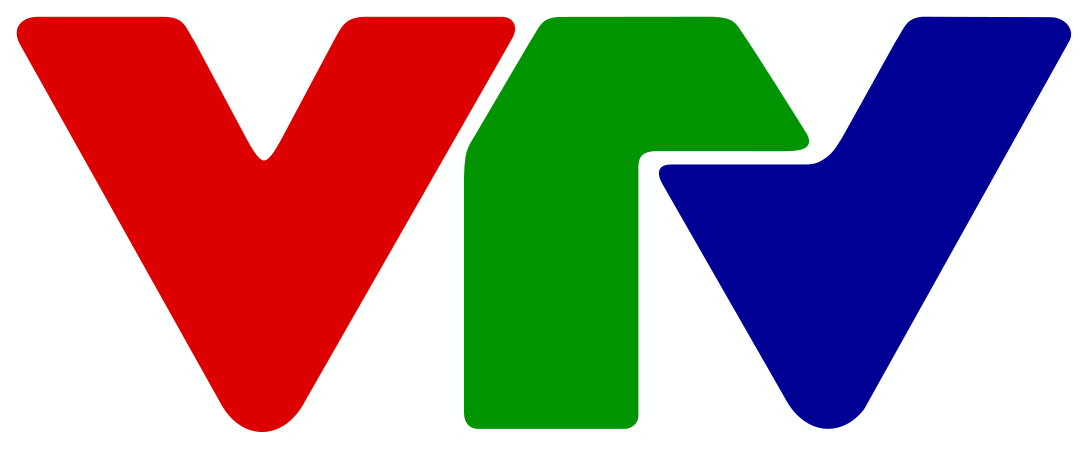 Vietnam Television Logo From - Vietnam Television Logo From (1200x494)