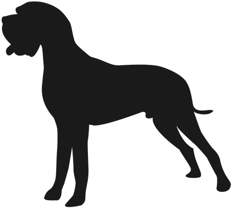 Pit Bull Labrador Retriever Terrier Clip Art - Pit Bull Labrador Retriever Terrier Clip Art (512x512)