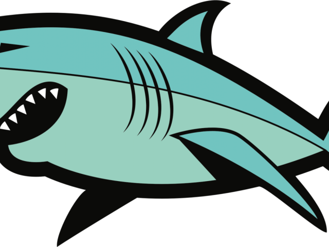 Tiger Shark Clipart Shark Fin - Tiger Shark Clipart Shark Fin (640x480)