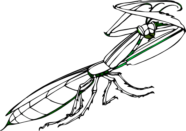 Praying Mantis Clip Art At Clker - Praying Mantis Clip Art At Clker (600x425)