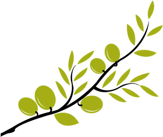 Olive Branch Petition - Olive Branch Petition (560x480)