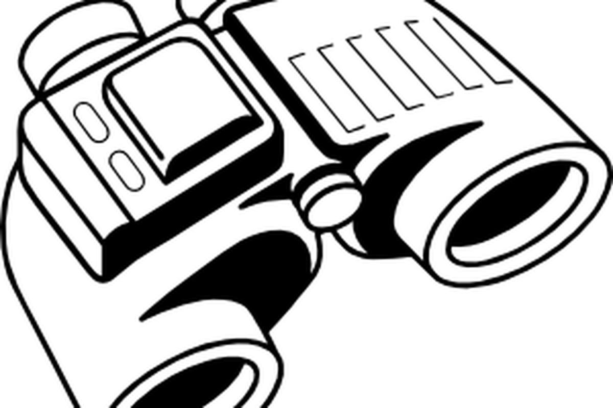 From Whales To Coyotes New York S - From Whales To Coyotes New York S (1200x800)