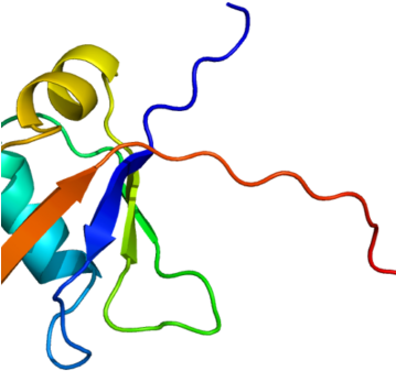 How Fruit Flies Are Helping Us Understand Mnd - How Fruit Flies Are Helping Us Understand Mnd (358x370)