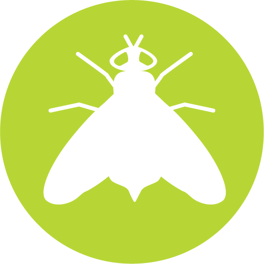 Harnessing The Power Of Nature - Harnessing The Power Of Nature (519x519)