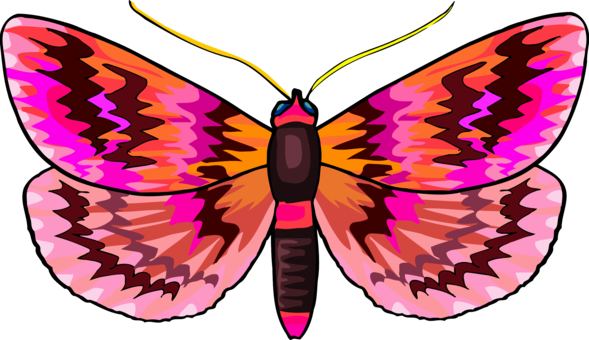 Monarch Butterfly Brush-footed Butterflies Insect Arthropod - Monarch Butterfly Brush-footed Butterflies Insect Arthropod (589x340)