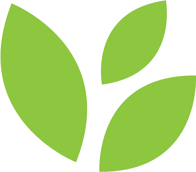Rainforest Clipart Scientist - Rainforest Clipart Scientist (739x655)