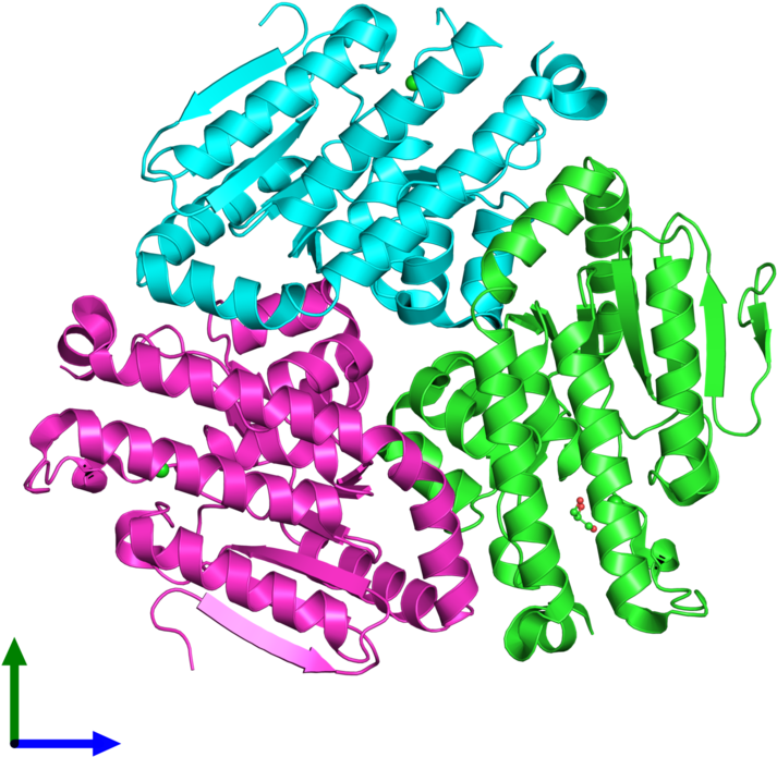 Ribbon Structure Of 4u18 - Ribbon Structure Of 4u18 (800x800)