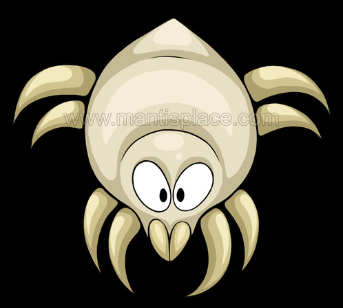 Sterifab Is A Safe Economical Spray For Killing Mites - Sterifab Is A Safe Economical Spray For Killing Mites (498x448)