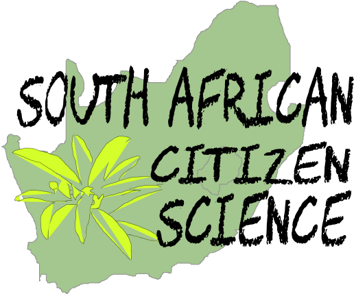 Thank You For Your Interest And Support - Thank You For Your Interest And Support (616x512)