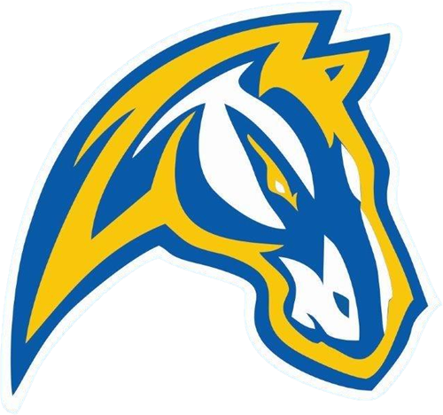 Chicopee Comprehensive Colts - Chicopee Comprehensive Colts (500x468)