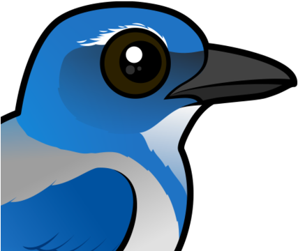 Clip Art Download Meet The Cute Birdorable Scrub Jay - Clip Art Download Meet The Cute Birdorable Scrub Jay (440x440)