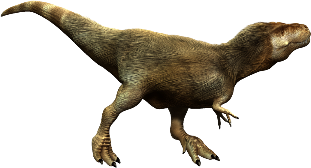 Tyrannosaurus Rex T Wiki - Tyrannosaurus Rex T Wiki (1075x730)