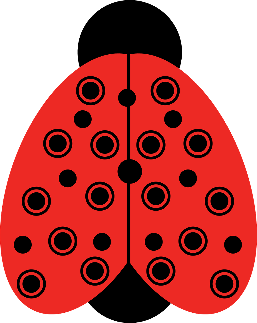 Joaninha Minus Lady Bug Pinterest Ladybird - Joaninha Minus Lady Bug Pinterest Ladybird (900x1130)