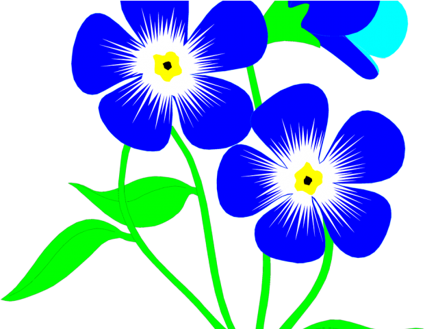 Forget Me Not Clipart Flower Head - Forget Me Not Clipart Flower Head (640x480)