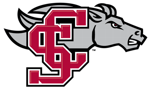 Santa Clara Broncos - Santa Clara Broncos (480x480)