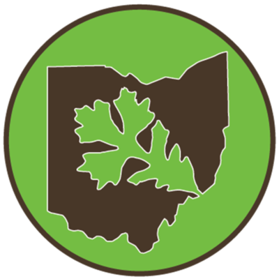 Hog Roast And Tree Autopsy Workshop @ Independent Tree - Hog Roast And Tree Autopsy Workshop @ Independent Tree (400x400)