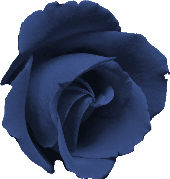 Sweetly Scrapped Free Flower Clip Art Images Flattened - Sweetly Scrapped Free Flower Clip Art Images Flattened (761x854)