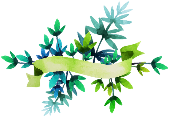 Free Shipping On All Orders Over $75 - Free Shipping On All Orders Over $75 (561x390)