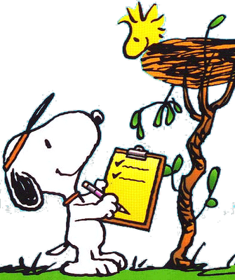 Woodstock, Cartoons, Dogs, Snoopy Pictures, Cartoon, - Woodstock, Cartoons, Dogs, Snoopy Pictures, Cartoon, (335x400)